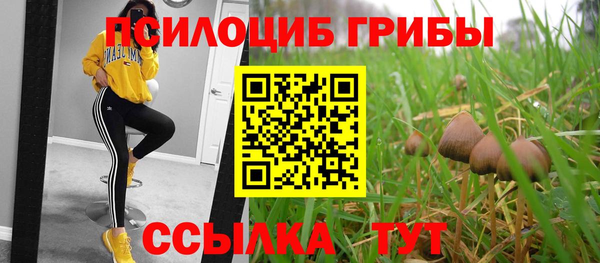 Псилоцибиновые грибы Psilocybine cubensis  Вход с VPN  Галлюциногенные грибы Psilocybe  Северск 